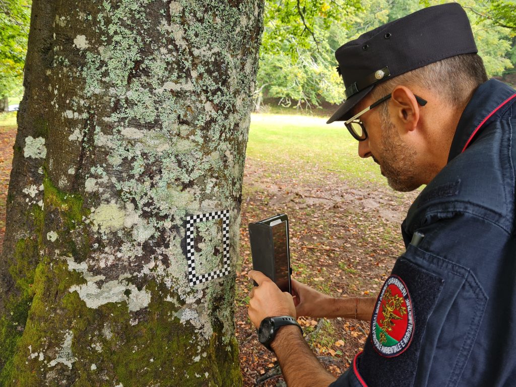 Monitoraggio E Tutela Dei Boschi Lattivit Qualificata Dei